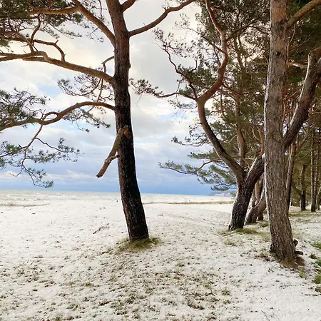 Daire Stoertebeker - Whg 13