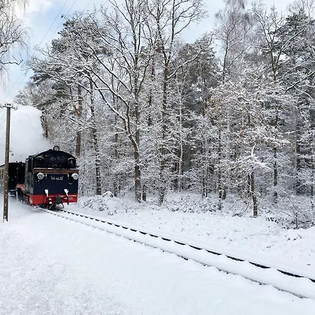 Daire Stoertebeker - Whg 13 *